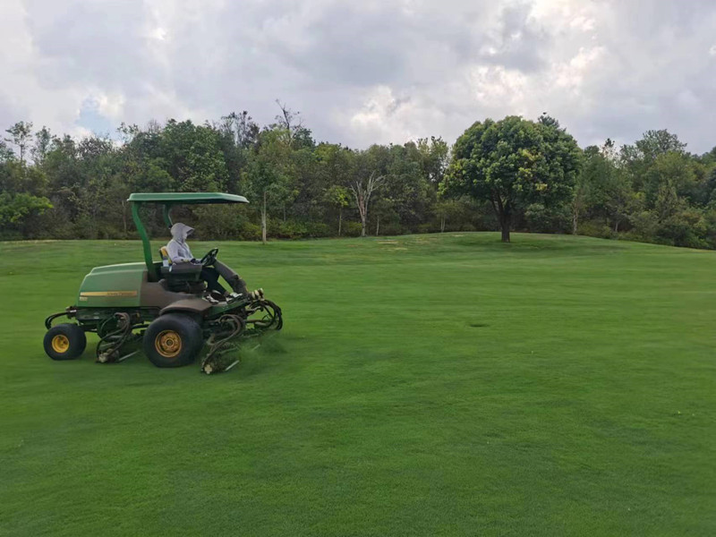 �t���w��ɭ�ֹ��@_