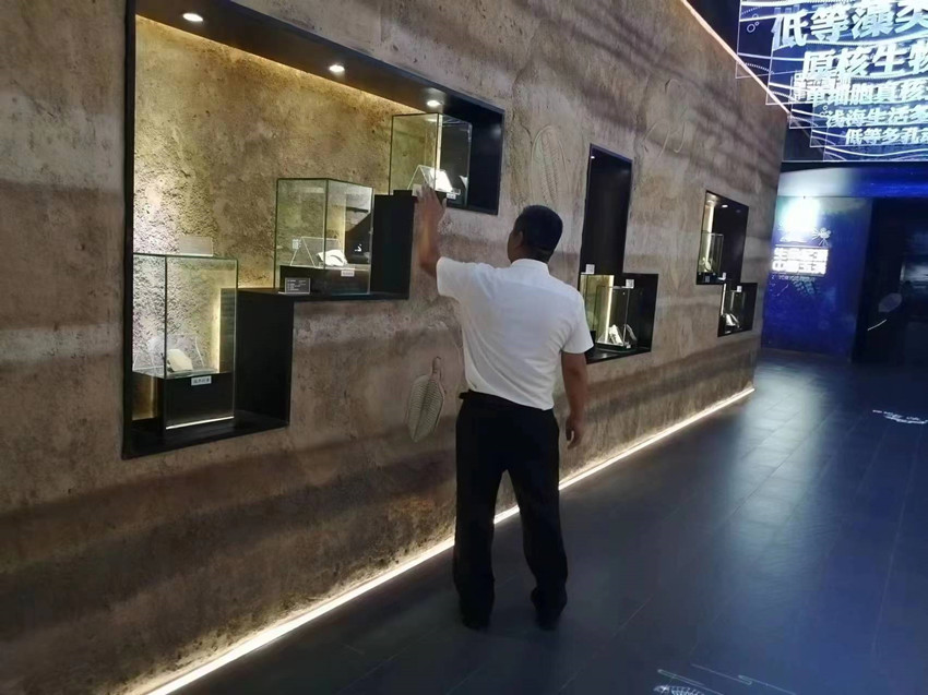 040ba64481b401afe29b38bed3fe644_����